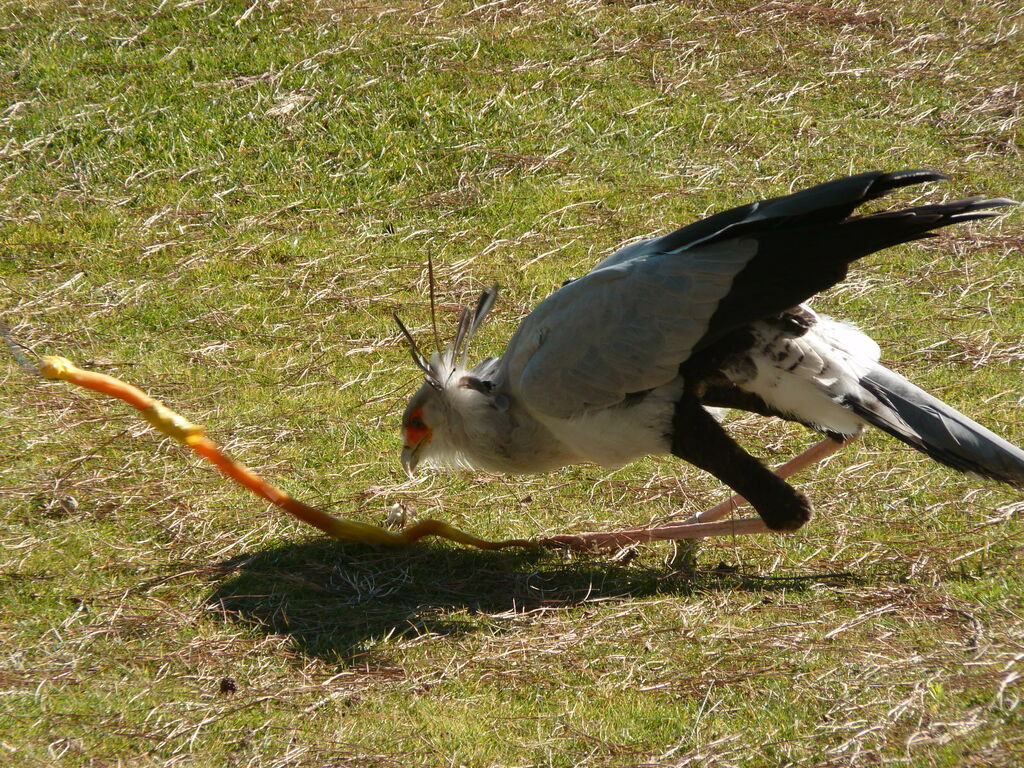 No s'ha trobat l'arxiu